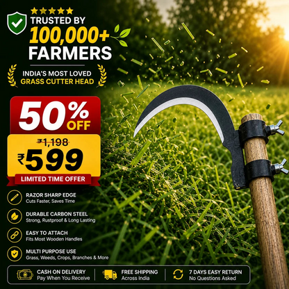 Limited Time Offer 50 Percent Off Rs 599 Deal